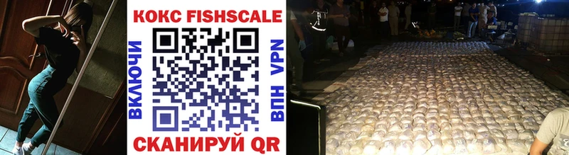 КОКАИН FishScale  mega ссылки  Сунжа 