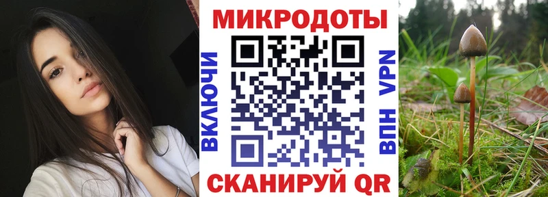 Псилоцибиновые грибы мицелий  Сунжа 